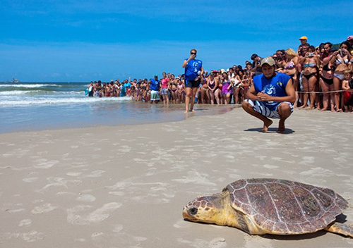 Bases localizadas em pólos turísticos fazem campanha Nossa Praia É a Vida